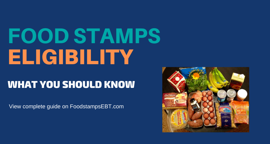 "food stamps eligibility guide"