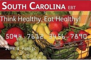 "How to Check South Carolina EBT Card Balance"