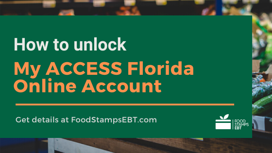 My Access Florida Account Login Art Sphere My Access Florida Account Login Art Sphere