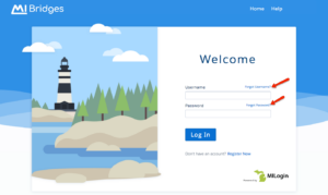 "Help with Michigan Bridges Login - 2"