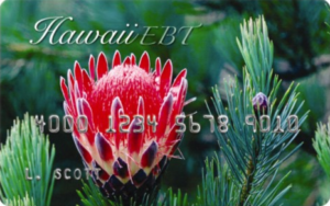"Hawaii EBT Card"
